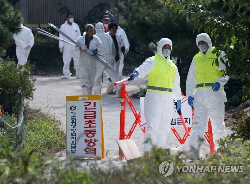 '돼지열병' 확진 강화도서 나오는 차량에는 방역소독 안해