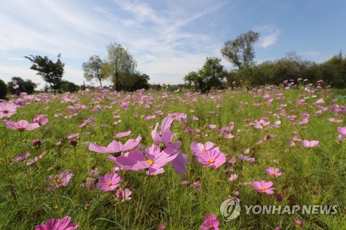 '서울 낮 28도' 맑고 낮에는 다소 더워…제주 오후 소나기