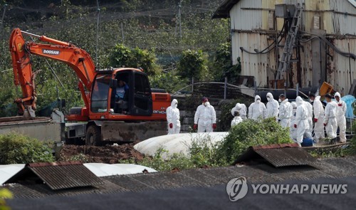 北 돼지열병 창궐에 불안감 증폭…"우리 방역 역량 높다"