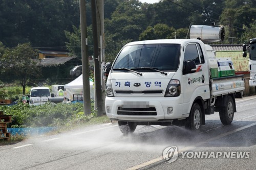 강화서 아프리카돼지열병 또 확진…국내 발생 9건으로