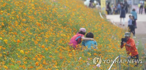 화려한 단풍에 등산로 북적…전국서 가을꽃의 향연