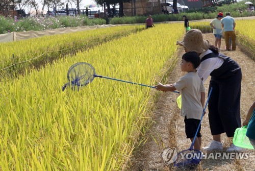 화려한 단풍에 등산로 북적…전국서 가을꽃의 향연