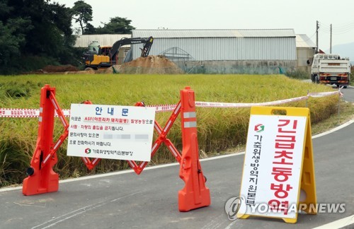 돼지열병 비상…인천 행사·체험학습 줄줄이 취소(종합)