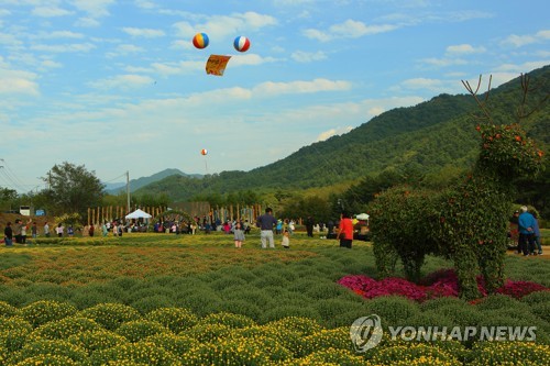 "꽃 보고 향기도 맡고"…'내설악을 품은 인제 가을 축제' 성황