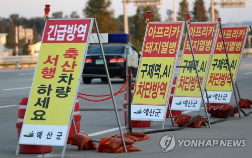 홍성 돼지열병 음성…한때 비상 충남도 "긴장 끈 놓지 않을 것"