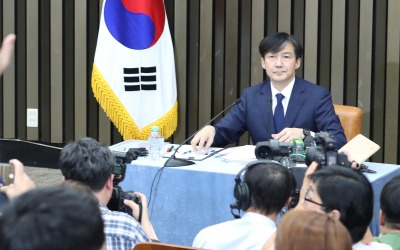 靑 "국민들이 판단할 문제, 청와대가 주도하지 않았다"