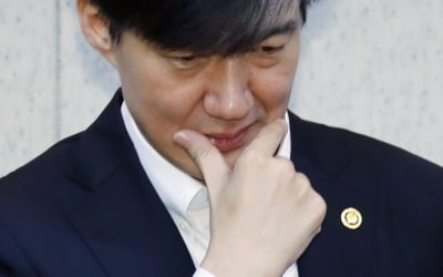 "조국, 딸 대출금 대신 갚고 증여세 안 내"