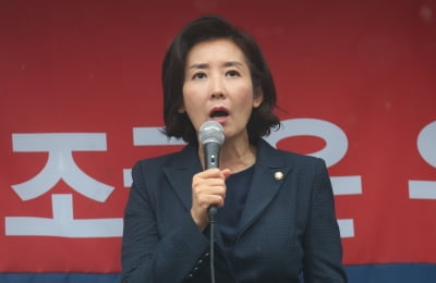 나경원 "아들 의혹, 조국 장관 물타기"…하버드 나온 이준석 "성적표 보니…"