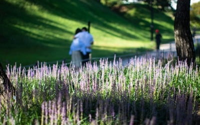 [오늘 날씨] 서울 최고기온 28도 … 일교차 주의