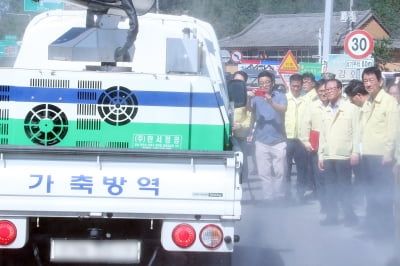 [이슈+]아프리카돼지열병 연천 확산…"시나리오별 투자전략 필요"