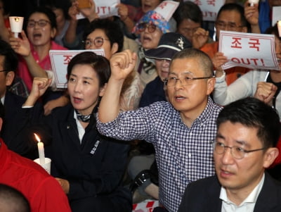 조국 임명 규탄, 한국당 광화문서 집회…주말에도 '투쟁'