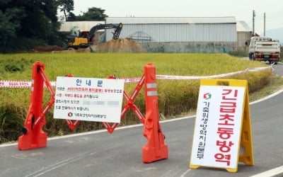 [속보] 아프리카 돼지열병, 양주시 또 의심 신고