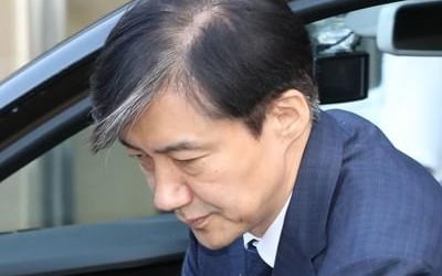 조국 딸·단국대 교수 아들 '품앗이 인턴' 의혹…"후보자 무관"