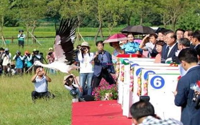 제13호 태풍 링링 북상에 첫 예산황새축제 연기