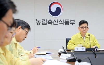 농식품부 "태풍에 벼쓰러짐·낙과 피해多…추석 전 복구지원"