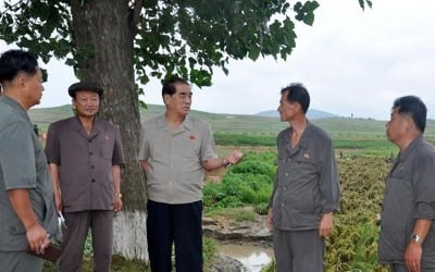 北, 태풍 피해로 수확량 걱정…"가을걷이에 전국가적 집중"