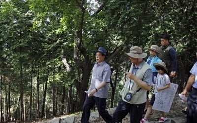 '대통령 휴양지' 가볼까…'저도' 내일부터 1년간 시범개방