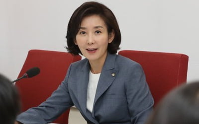 나경원 '자녀 부정입학 의혹' 서울중앙지검 형사부가 수사