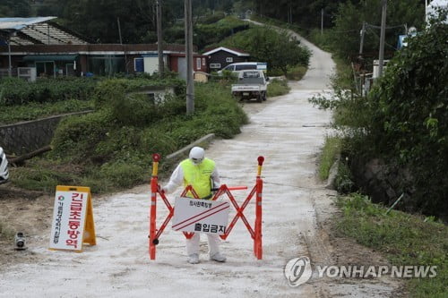 ASF 옮으면 어쩌나…경기북부 양돈 농가들 '전전긍긍'