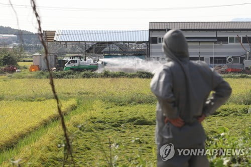 연천서도 아프리카돼지열병…확산 우려속 6개 시·군 집중 방역