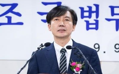 조국 장관 '초등생 치고 뺑소니 카자흐스탄인' 신속송환 지시