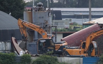 아프리카돼지열병 살처분 5000마리 넘어…이산화탄소로 안락사