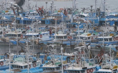 태풍 '타파' 북상에 제주 대비 강화…행사 취소 잇따라