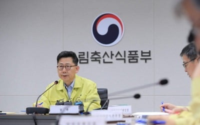 농식품부 장관 "파주 돼지열병 의심 2건 음성…긴장 안늦출 것"