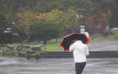 [날씨] 내일 태풍 '타파' 영향권…제주·남해안 강풍에 물폭탄