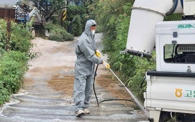 경기 김포서 아프리카돼지열병 의심 신고…한강 이남 뚫리나