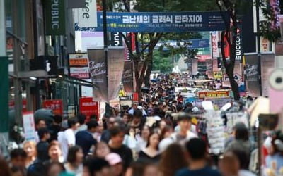 반도체경기·사드 여파에 2017년 내수·서비스 비중 축소