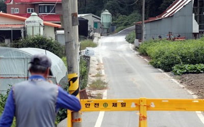 강화 석모도서 아프리카돼지열병 확진…국내 발생 7건으로 늘어