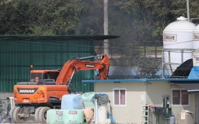 아프리카돼지열병 국내 발생 8건으로 늘어…감염경로는 '미궁'