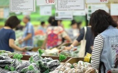 한은 "소비자물가 단기 하락 디플레와 다르다…곧 반등"