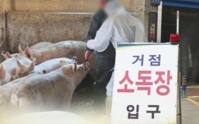 주말 잠잠했던 아프리카돼지열병 이번주 확산 분수령