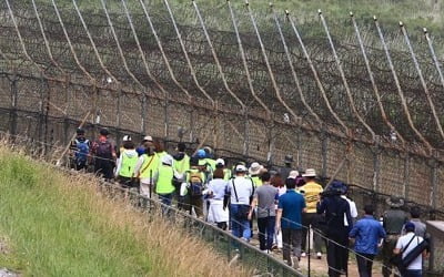 돼지열병 확산방지…고성 DMZ 평화의 길 운영중단