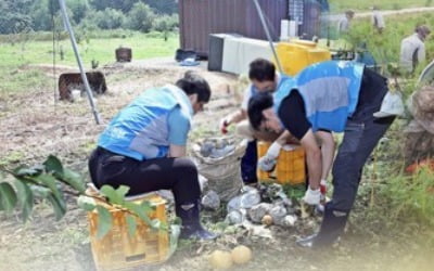 정부, 태풍 '링링' 피해 복구비 1천590억원 확정