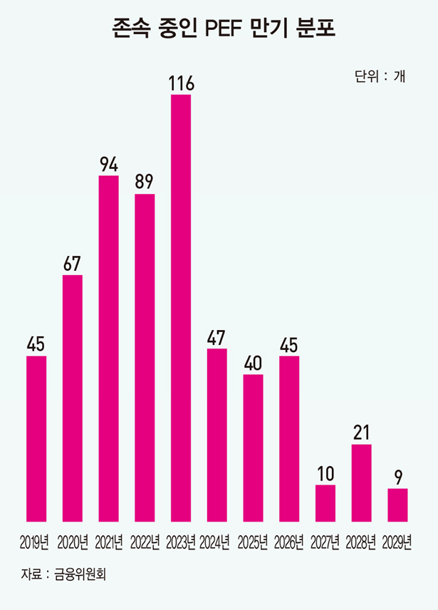한눈에 보는 PEF 산업