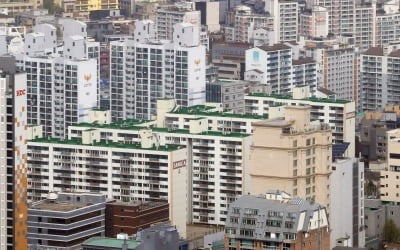 정부, 강남4구·마용성 부동산거래 '샅샅이' 살핀다…조사 대상은?