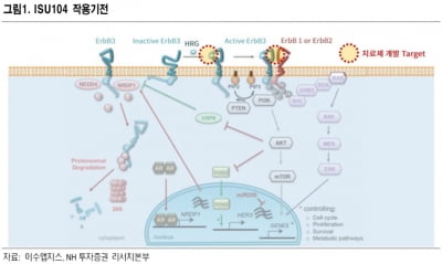 "카지노 한국인, 표적항암제 확장성 고려하면 저평가"-NH