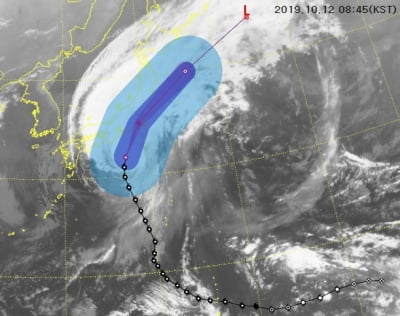 태풍 '하기비스' 접근에 일본 '초긴장'…동해안 초속 25∼30m 돌풍 예상