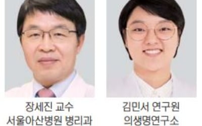 '암 조직 유사장기체' 개발…동물실험 대체 길 열어