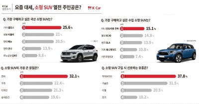 '완소' 소형 SUV…"국산 셀토스, 수입은 미니 쿠퍼"