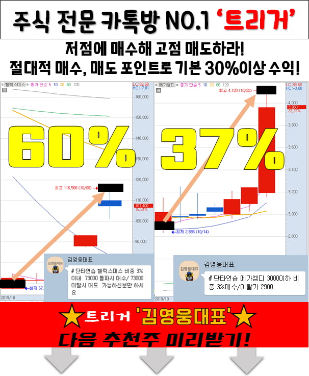 엄청난 종목이 나타났다! 바로 공개!