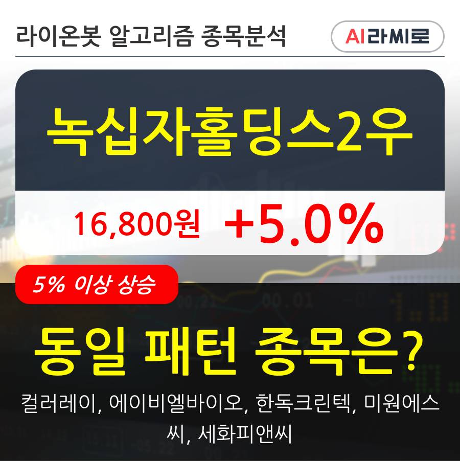 녹십자홀딩스2우