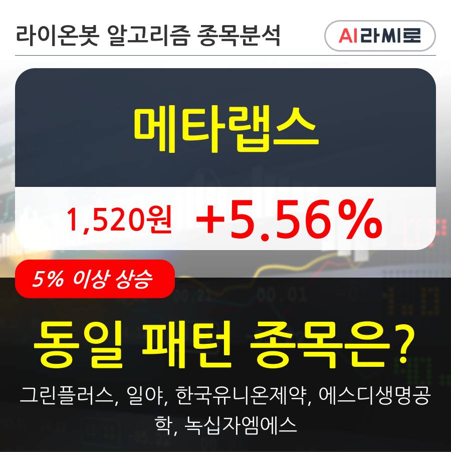 메타랩스