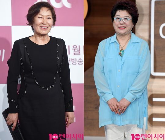 배우 김혜자(왼쪽), 가수 양희은. /사진=텐아시아DB