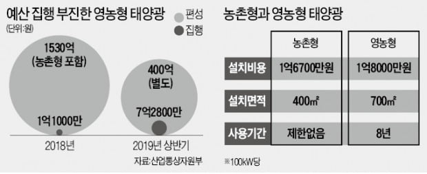 의욕만 앞선 '영농형 태양광'…농가도 외면