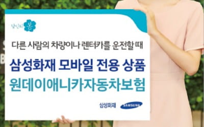 하루 단위로 가입…렌터카 운전할 때 유용