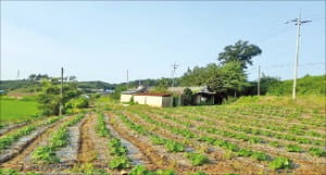 충남 태안군 태안읍 전원주택지 